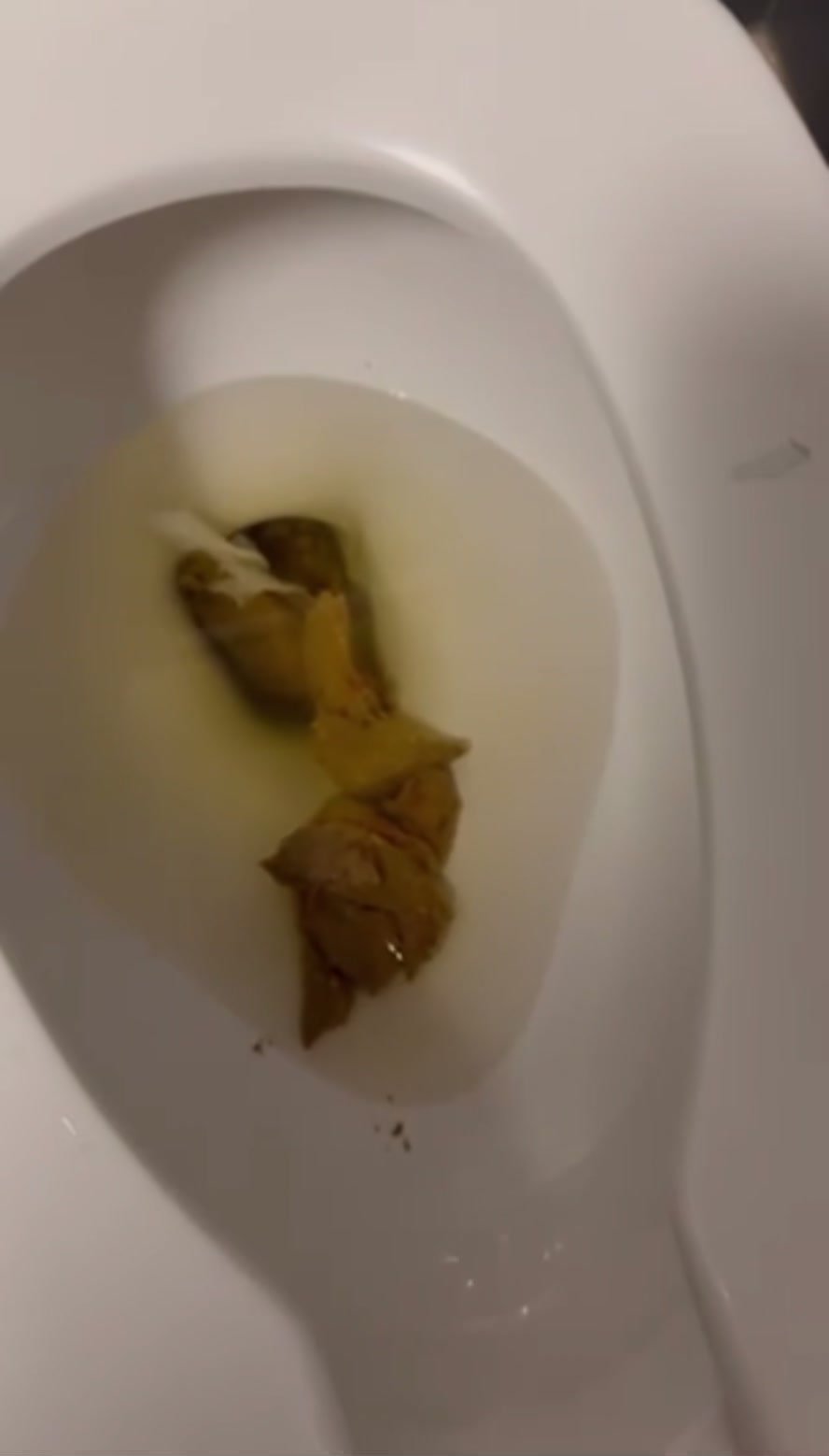 Morning poop - video 118