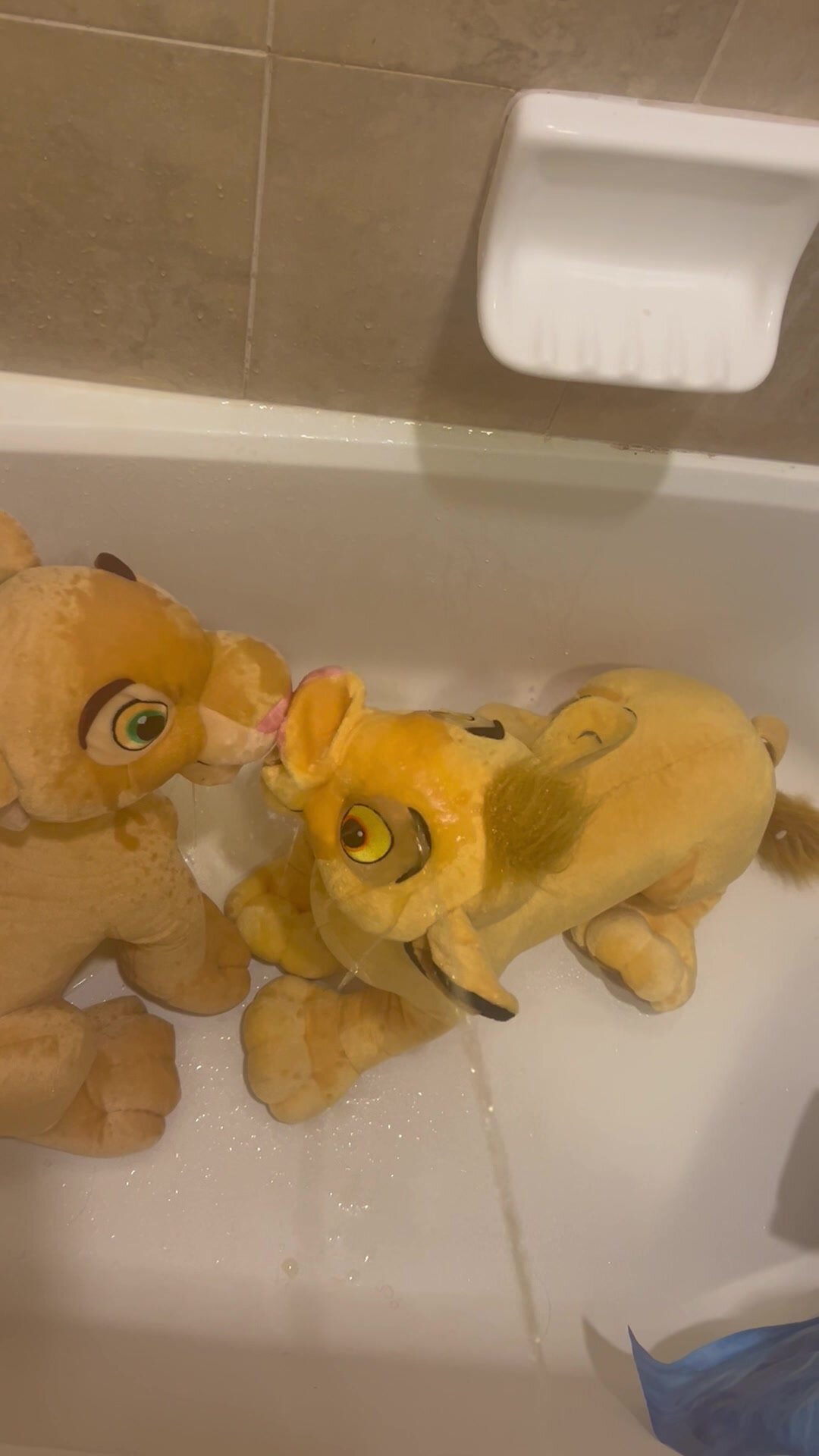 Nala & Simba Take a Golden Shower Together!
