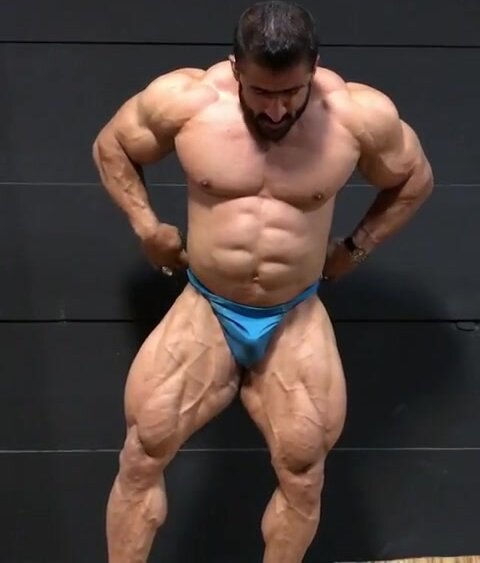 Champion Arab Muscles