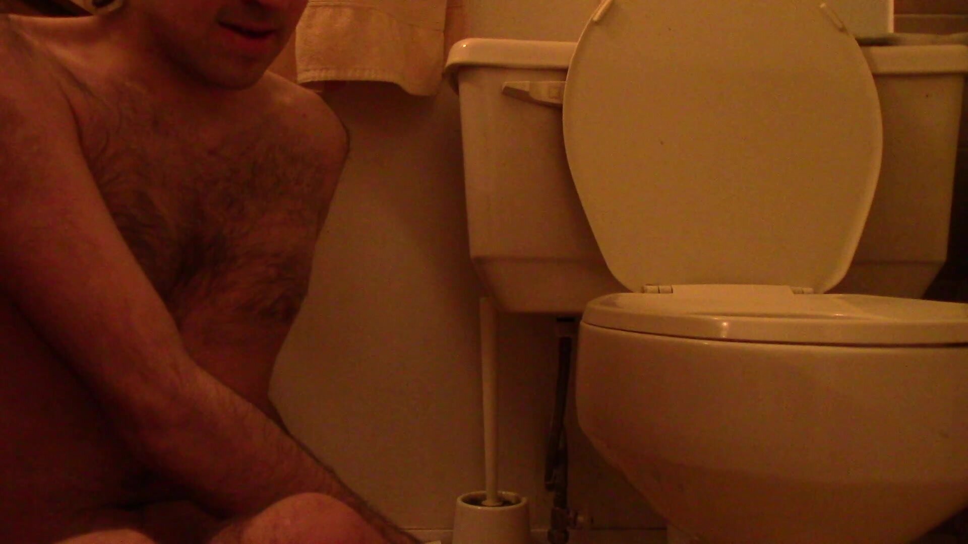 Flushing Poop Down the Toilet