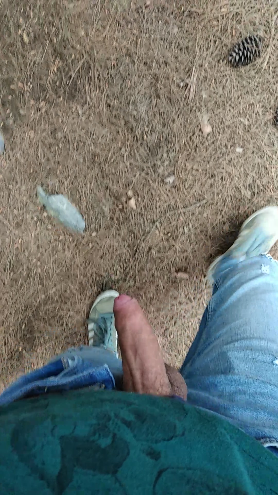 walking in forest with my dick out