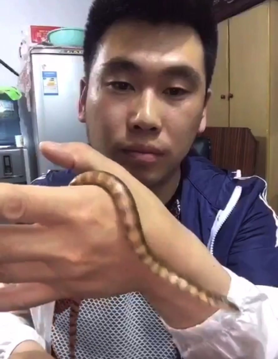 Guy swallows live snake
