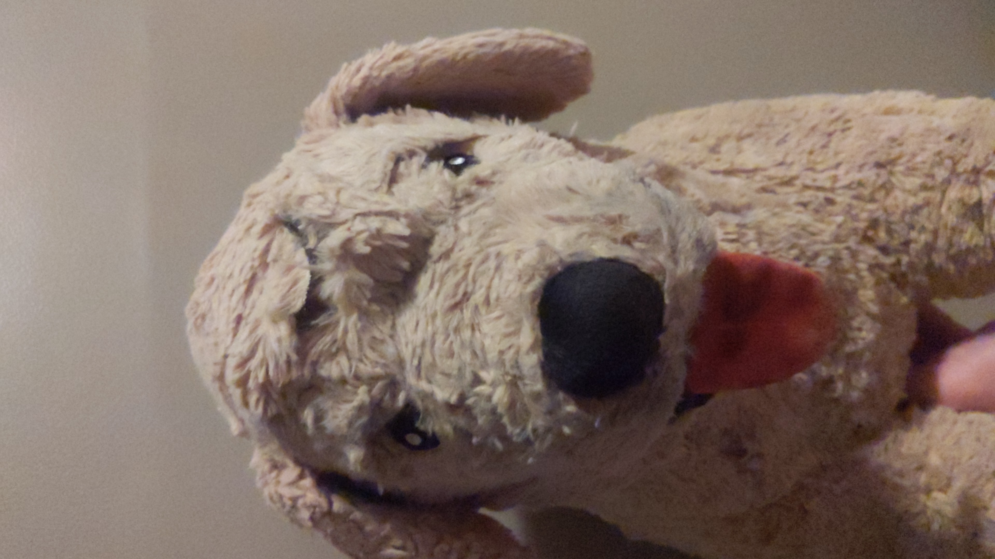 *Home Video* Poor Plush Dog Chopped in Half and Fucked