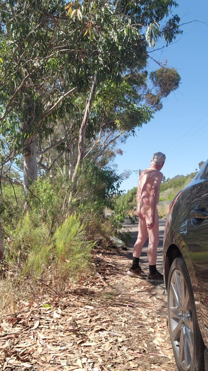 Roadside public naked jerk off