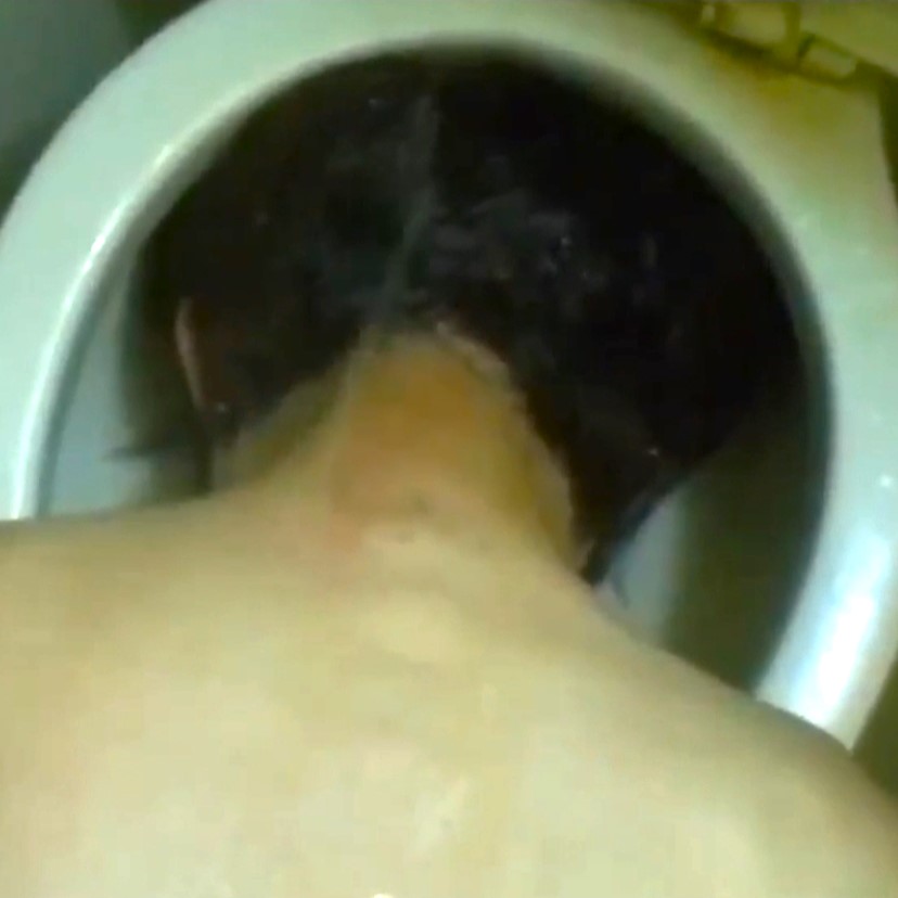 Man puts his head in a toilet bowl and gets pissed on.