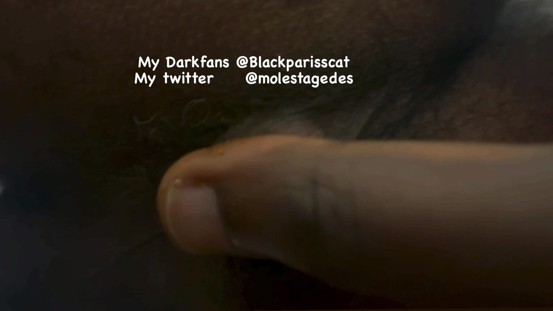 ... @Blackparisscat - video 7