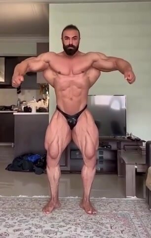 Bearded Arab Muscle champion