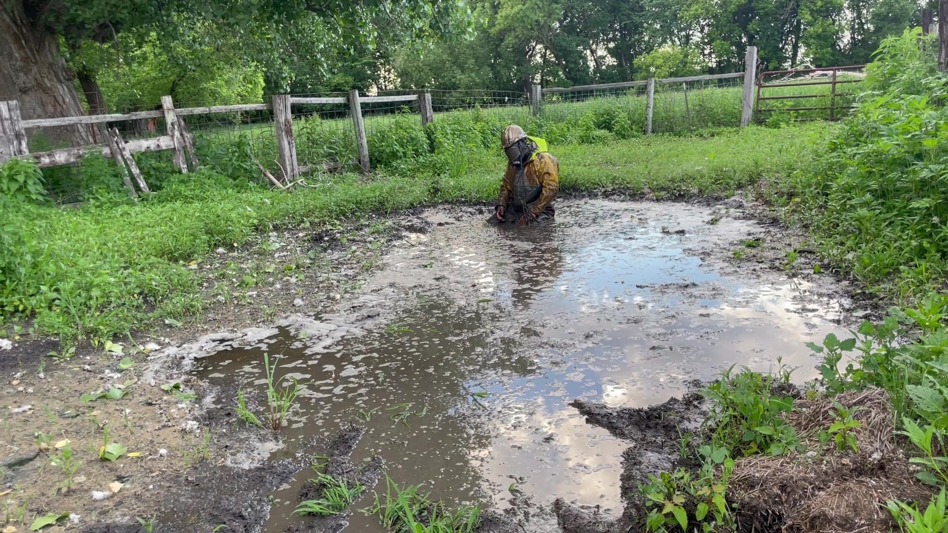rainwear in cow manure and mud