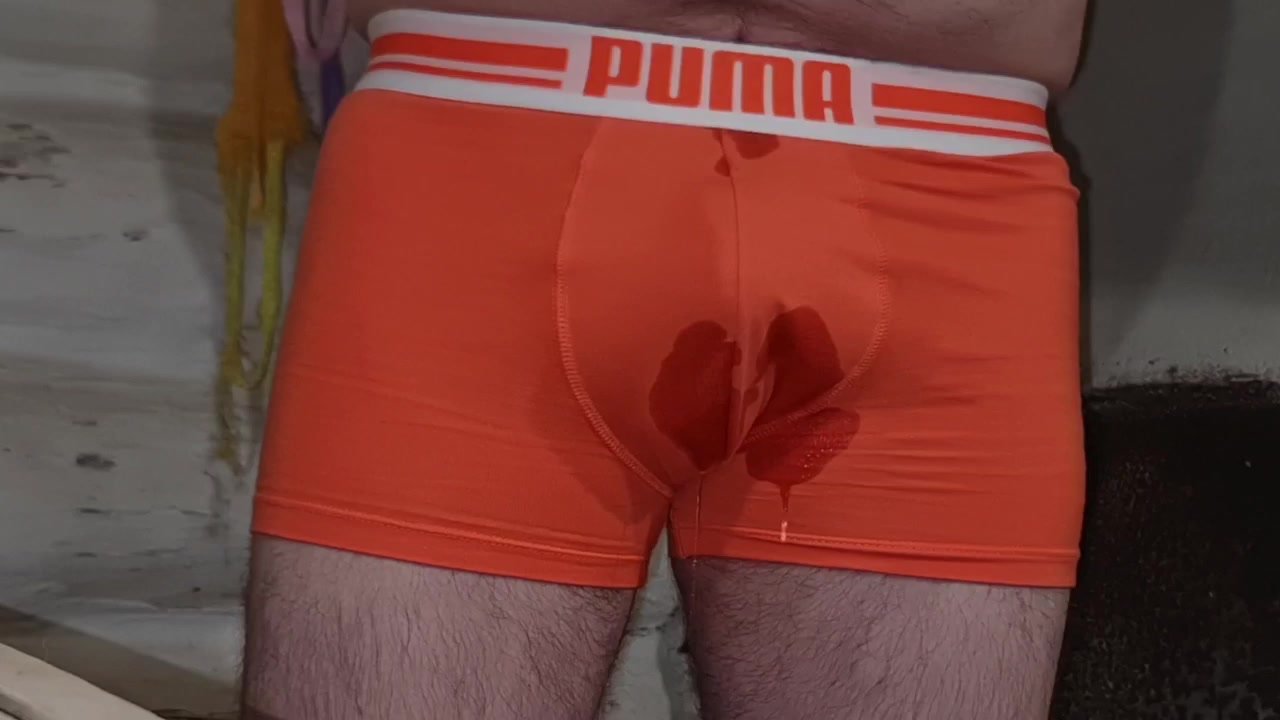 Piss my orange puma