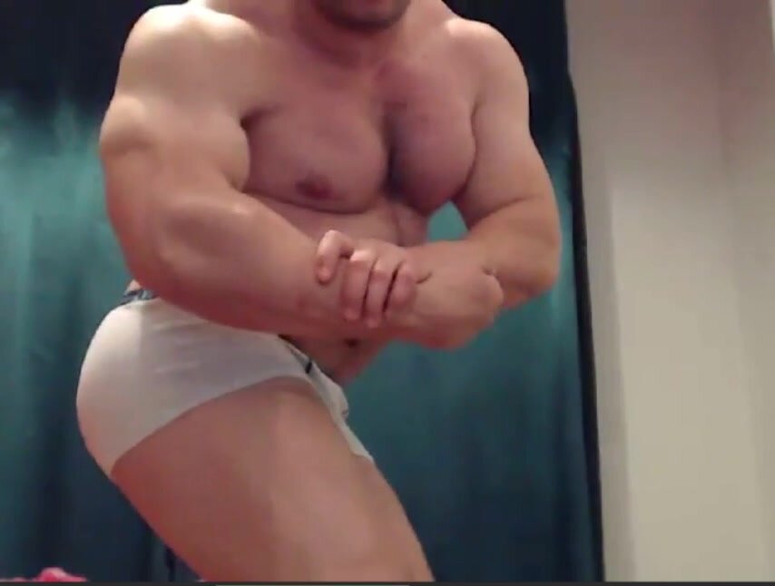 Strong musclebull flexes and shoes his hitnass