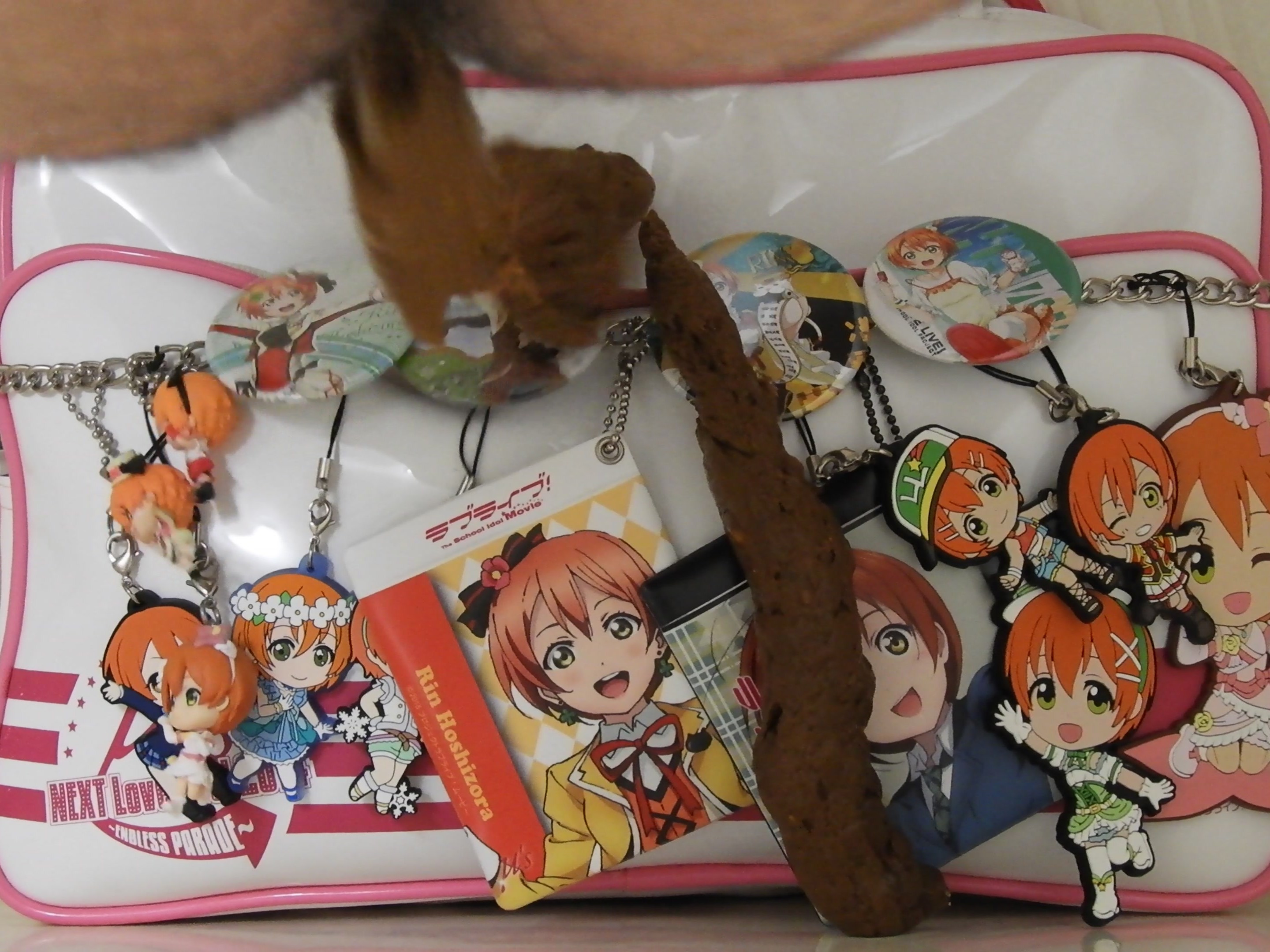 Pooping to the "Love-Live!" decorated bag 8