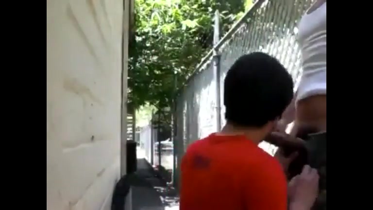 Horny pig fucked in the alley