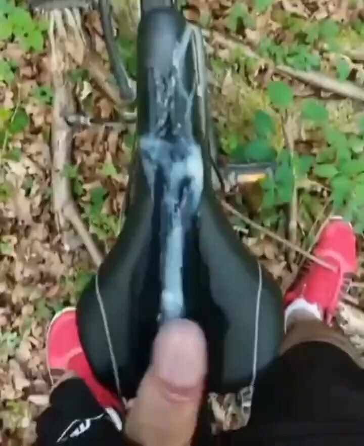 Out on a morning cycle