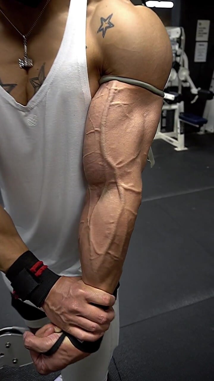 Vascular Bodybuilder Arm