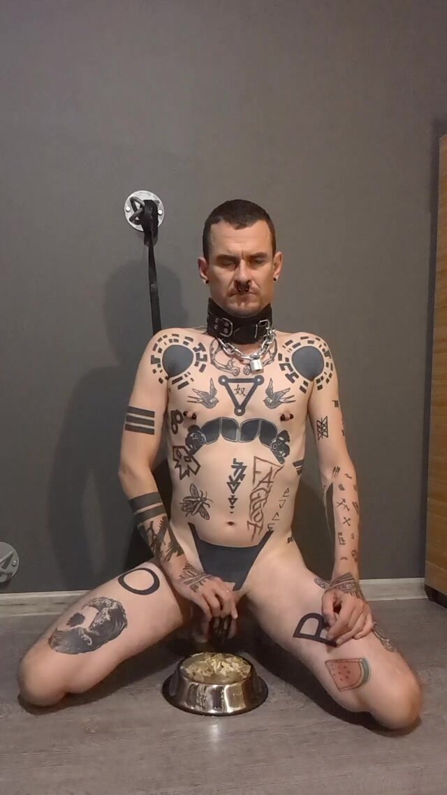 Exposed slave piss filled meal out of a dog bowl