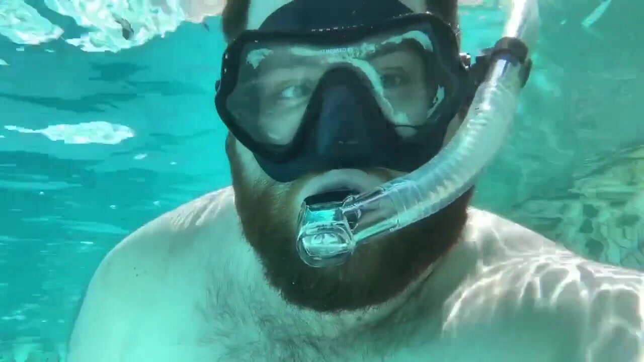 UW Bear Swim
