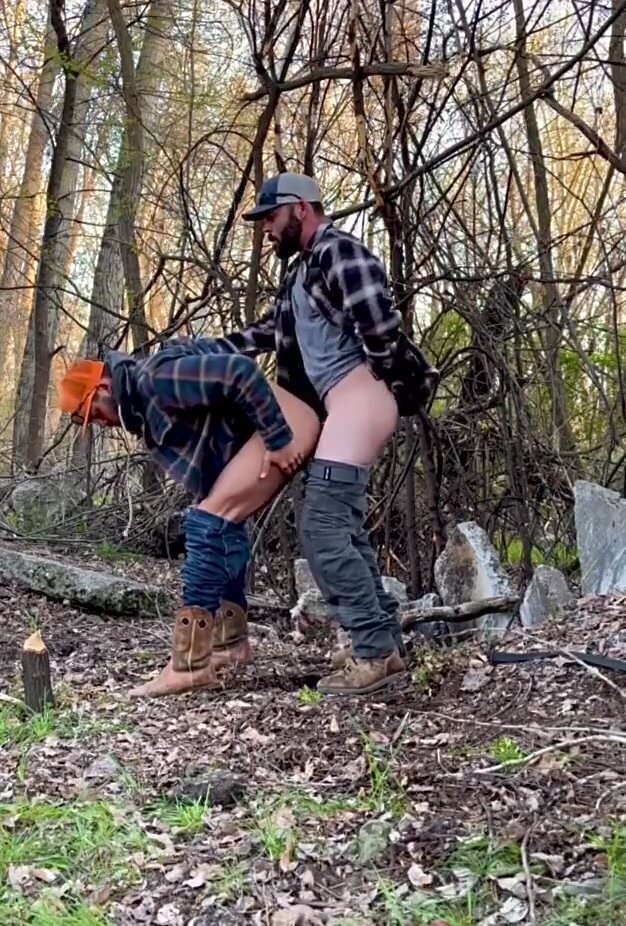 Bears Fucking In The Wood