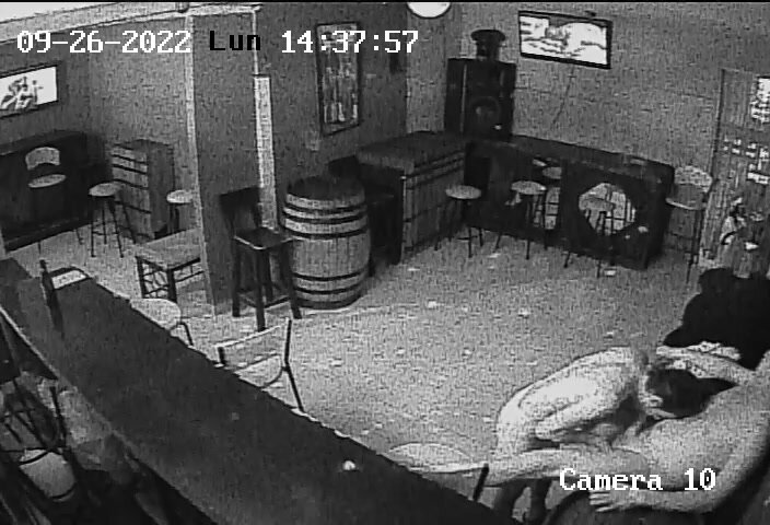 Sauna SPYCAM