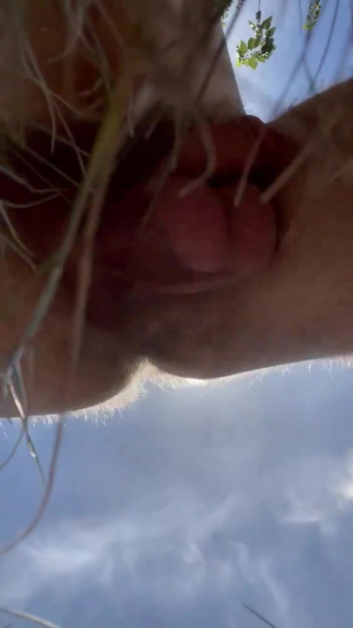 Dangling cock with beautiful foreskin