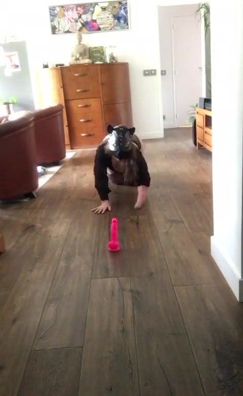 LBE CAT WOMEN PLAYING HERSELF