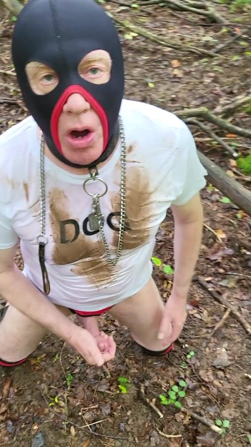 Forest stop - video 2