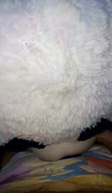 Pandaplay