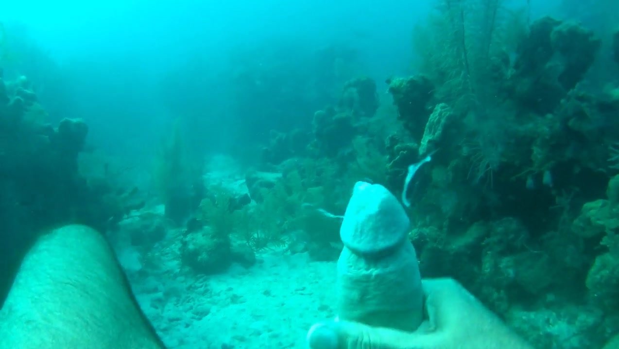 Cumshot in the sea