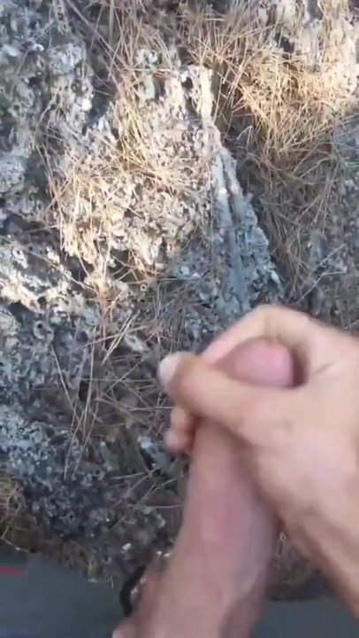 Big dick - video 237