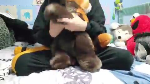Red panda plush