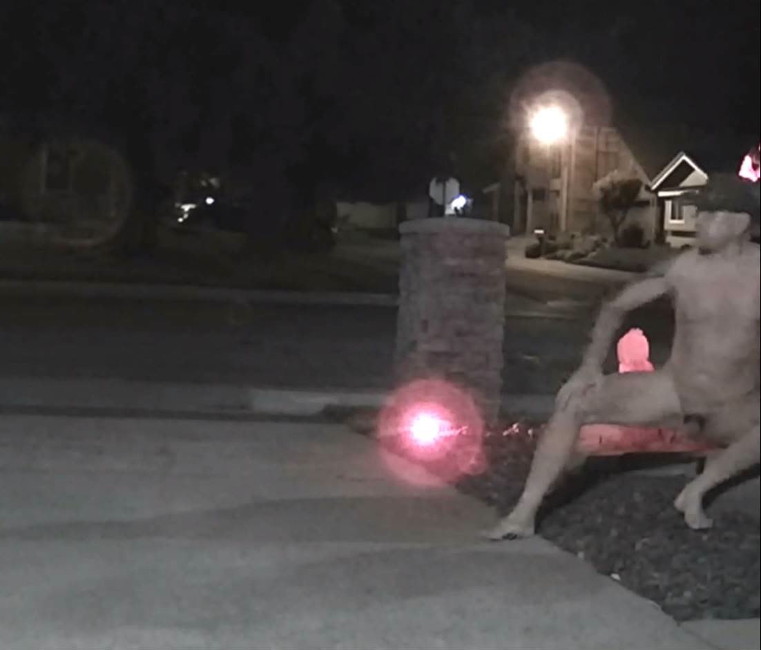 Playing in the Front Yard