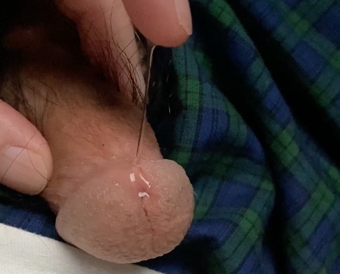 Stroking My Cock with Precum