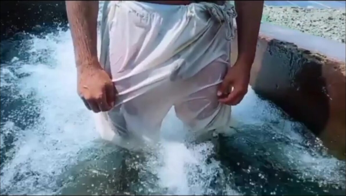 Pakistani - video 14