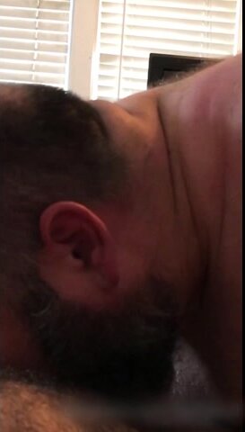 gay bear - video 3