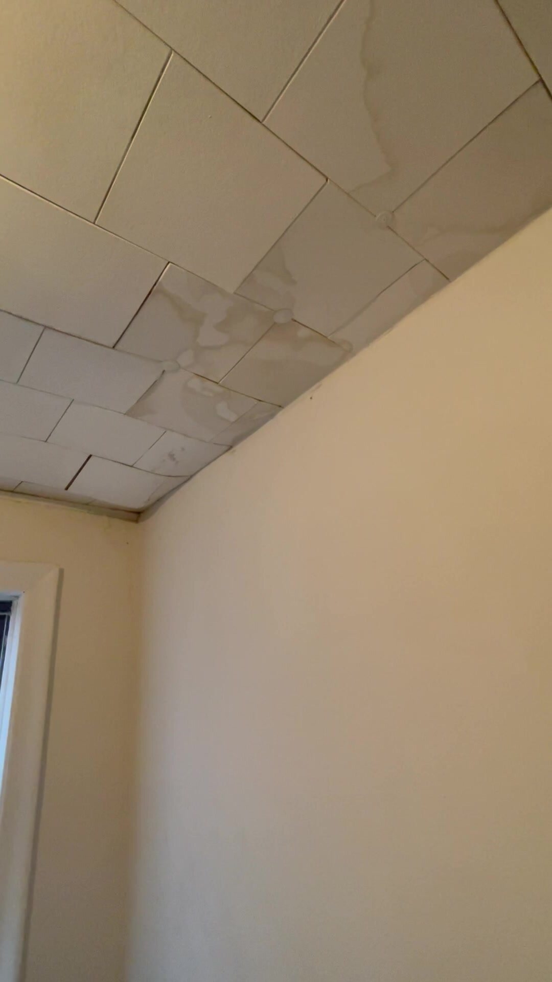 Leaky - video 5