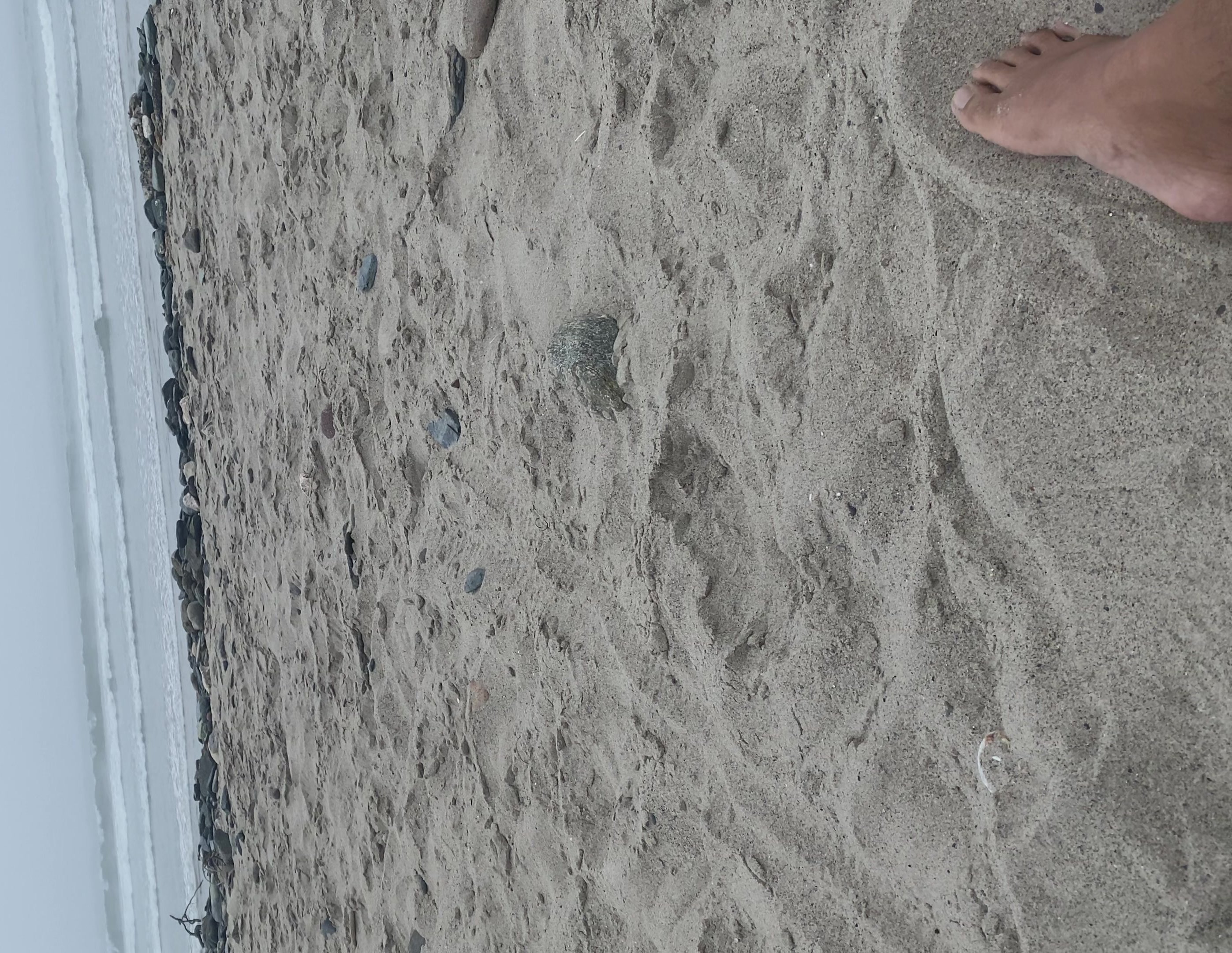 Exposed At The Beach