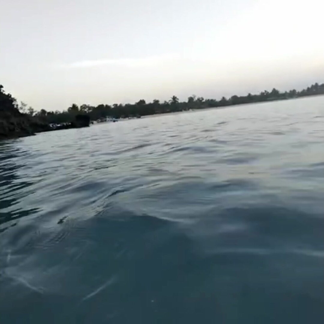 Trunks Away!