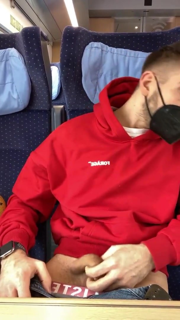 Guy wanks on train