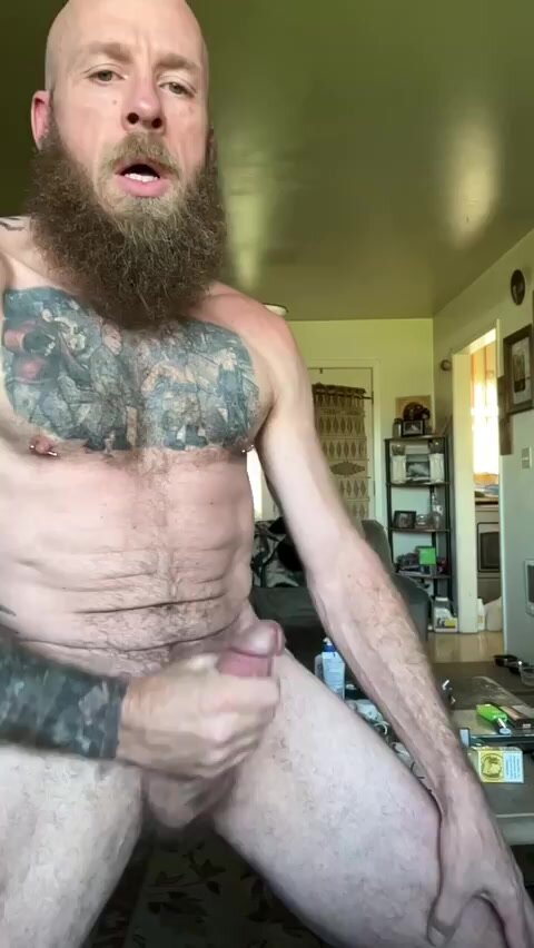 Bearded bater\