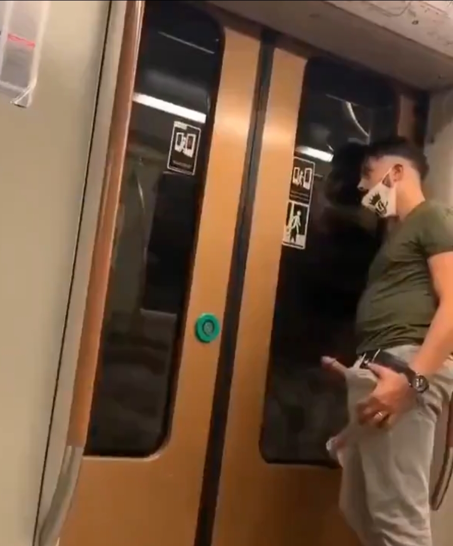 Shameless Train Exhibitionist!!!