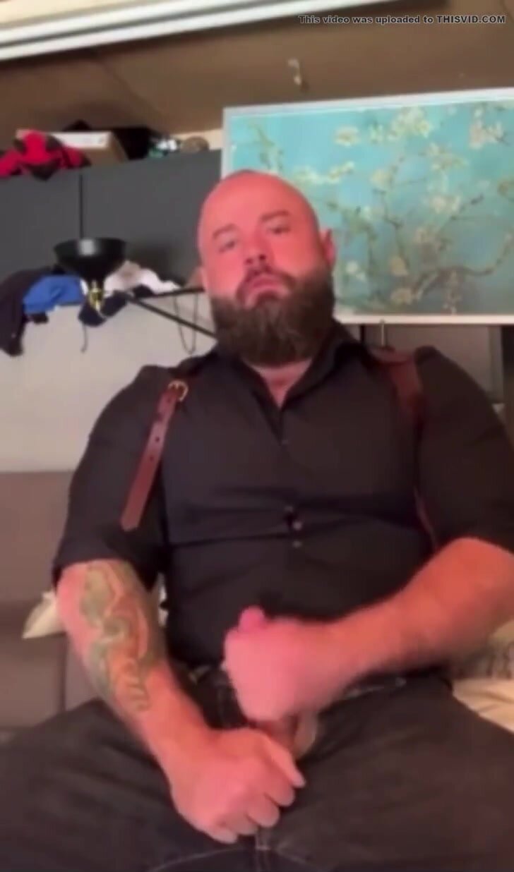 Beautiful Bear - video 2