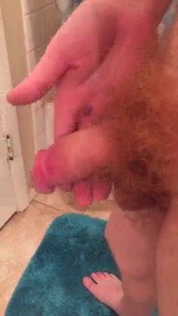 Penis soft to hard