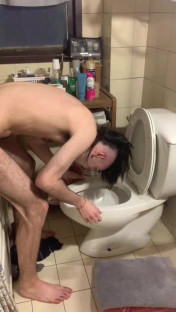 Stupid otter faggot shoves his head into the toilet
