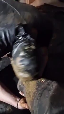 Shitbootlicker