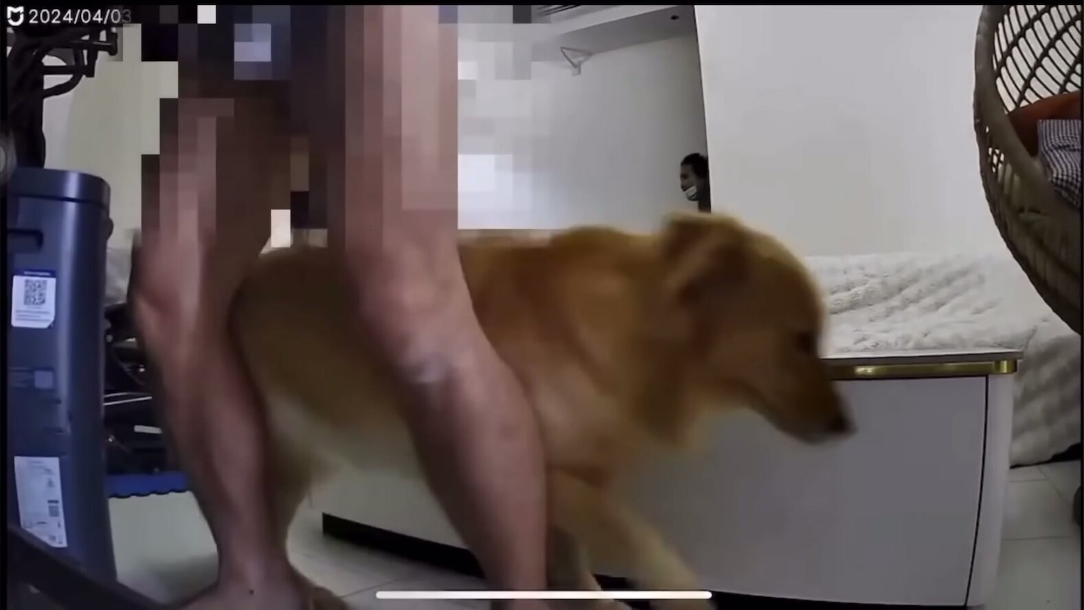 underwear - video 6