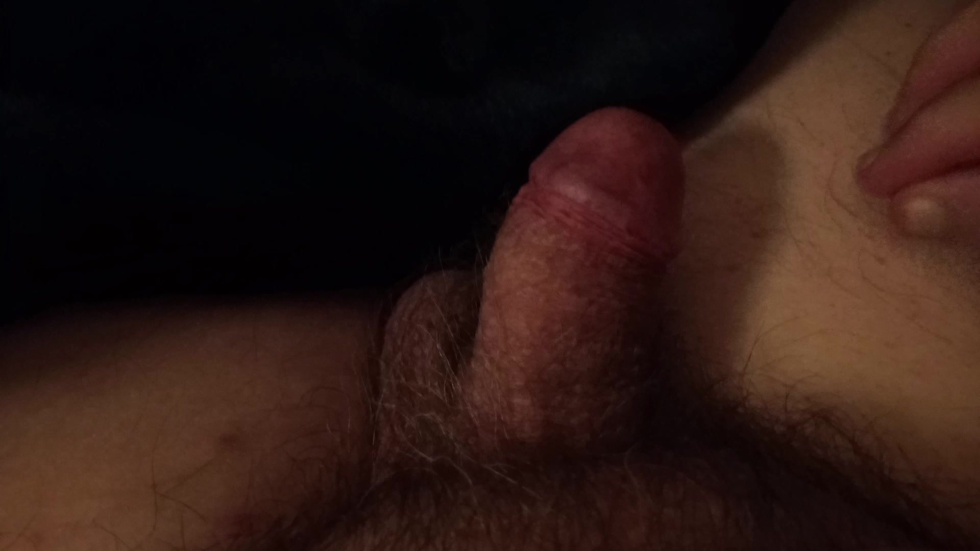 Sleeping cock played with