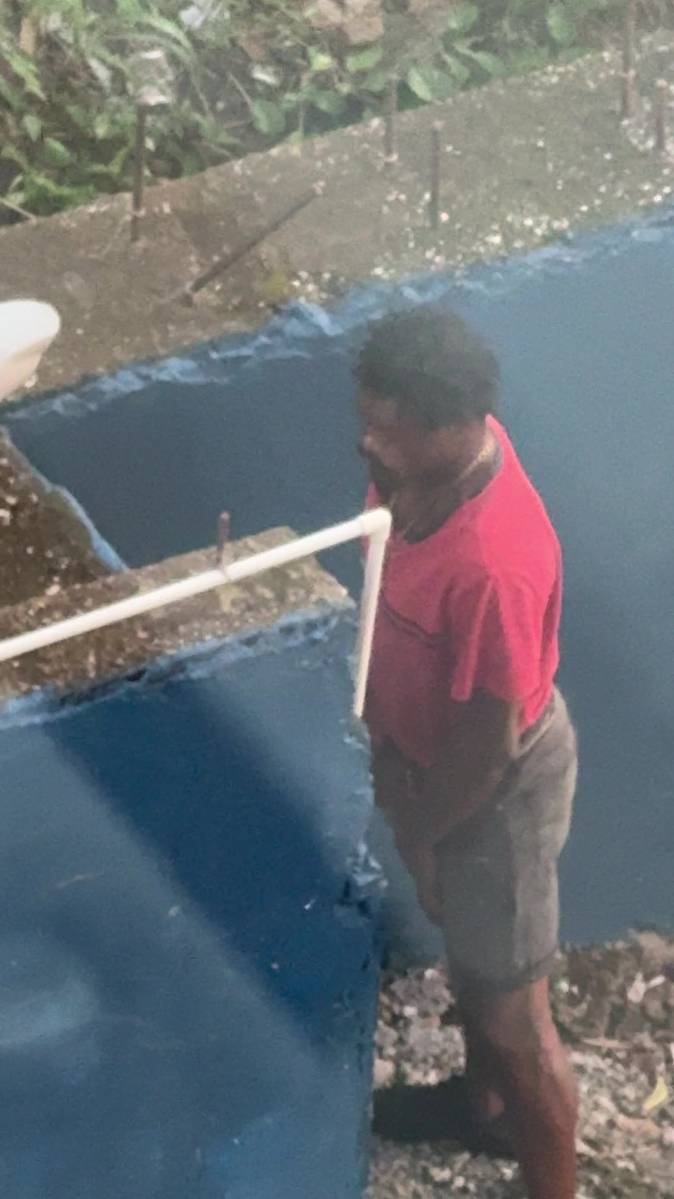 Trini Homeless Man Pee