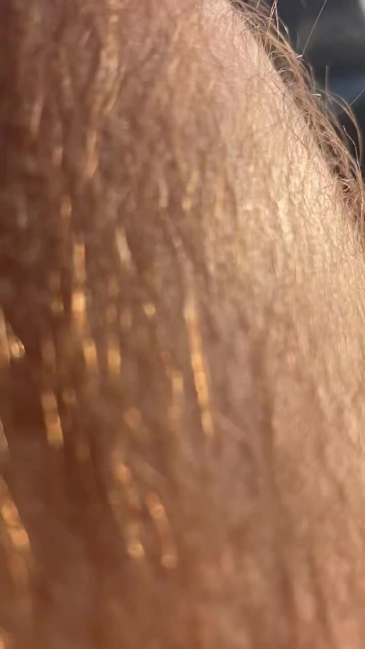 Spy naked beach bears