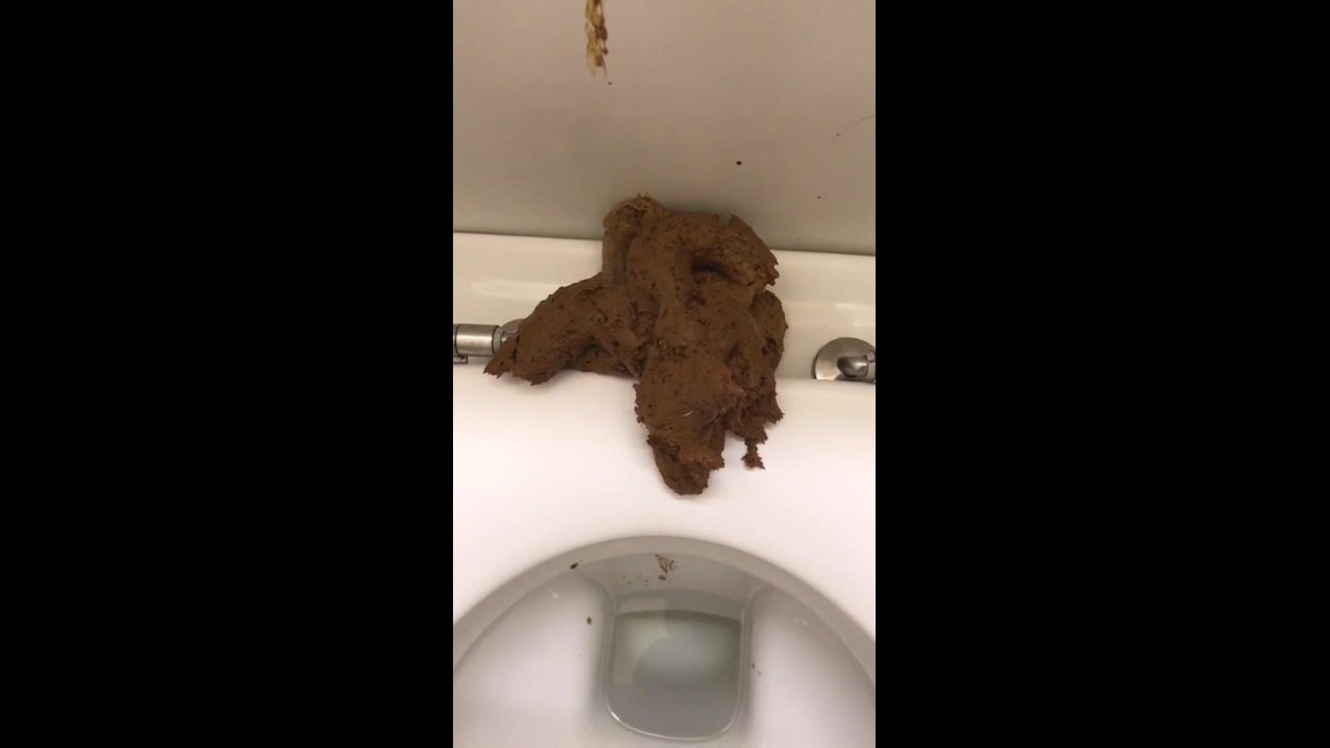 Messing up the toilet at a truckstop near work 05/21/2019