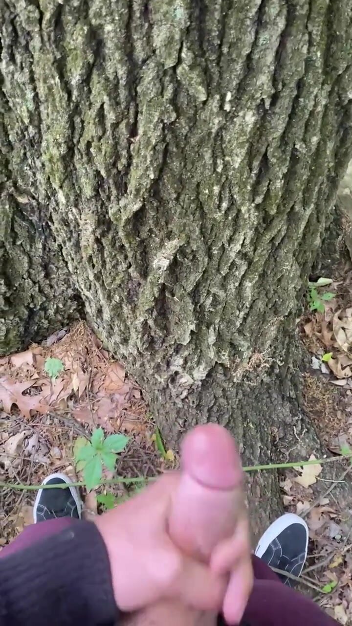 horny dude jerks off in a forest