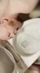 Piss Pig 1 - video 2